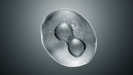 Cell Division or Cloning Cells