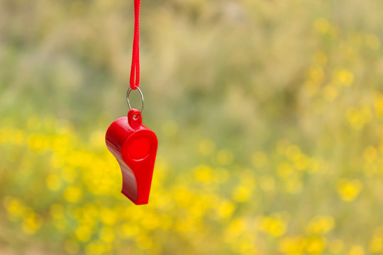 Red Sports Whistle On A Background Of Yellow Flowers. Concept- Sport Competition, Referee, Statistics, Challenge, Friendly Match. Copy Space.