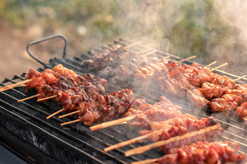 Grilled chicken skewers with smoke.