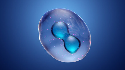 Cell Division or Cloning Cells