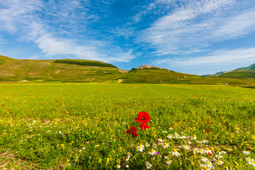 Plans Castelluccio in Italy