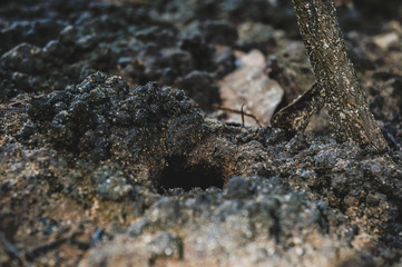GROUND