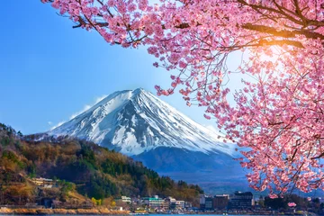 Peel and stick wall murals Fuji Mount Fuji and cherry blossoms which are viewed from lake Kawaguchiko, Yamanashi, Japan.