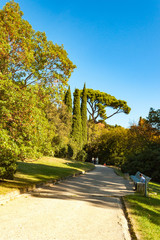 Obraz premium Russia, Crimea, Alupka 03 November 2018: incredibly beautiful landscape view of the park of Vorontsov Palace with coniferous and deciduous trees, woody shrubs, Cypress.