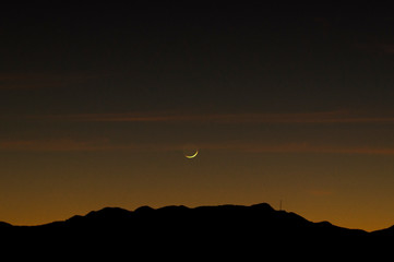 Cabo Moon 