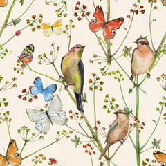 texture transparente de nature vintage avec des oiseaux et des papillons. peinture à l& 39 aquarelle