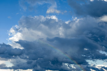 Fototapeta premium Sky rainbow forest. Sky rainbow forest on white background. Rainbow sky landscape. Rainbow background. Rainbow sunset. Beautiful blue rainbow sky.