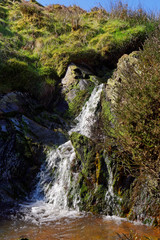 Fototapeta na wymiar Springtime view of a waterfall in the mountains of Snowdonia.