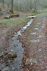 quelle der NAHE bei selbach