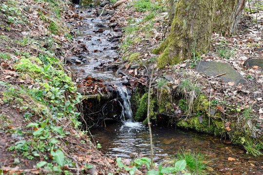 die junge NAHE bei selbach