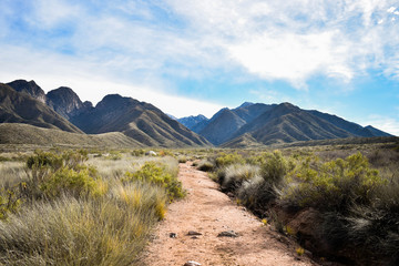camino de montañas