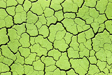 Cracked green wall patterns. Abstract background texture