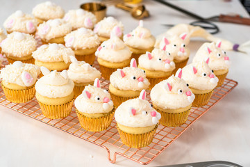 Baking cupcakes