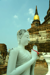 Buddhastatue und historische Tempel in Ayutthaya , Thailand
