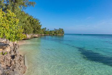 Fototapeta na wymiar coastline beach seaside of Kizimkazi in Unguja aka Zanzibar Island Tanzania East Africa