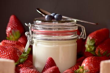 Selbstgemachter Joghurt