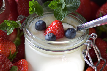 Selbstgemachter Joghurt