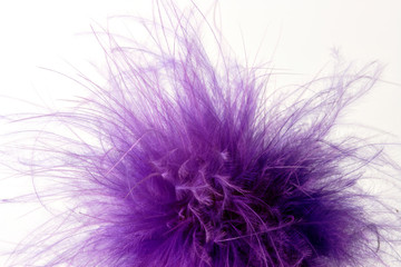 Fototapeta na wymiar Fluffy violet feathers on white studio background