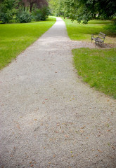 Fototapeta na wymiar bench in a park, gravel path and grass