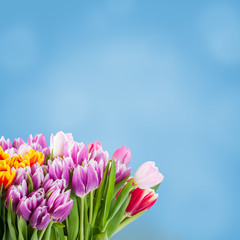 Sprind floral background for design