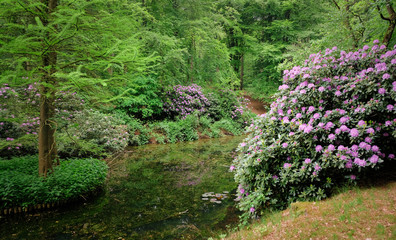 green garden with or river and bushes and flowers in the netherlands