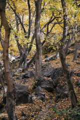 Imlil in the Atlas Mountains of Morocco