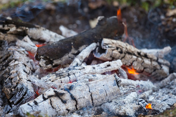closeup campfire, fire and ashes