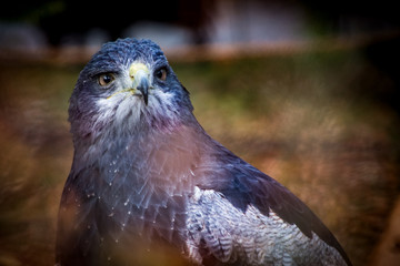 #safarilandstukenbrock #freizeitparkinfos #tiere #animals #fotografie #nikon #nikondaily #nikonswitzerland #nikongermany #natur #landschaft #landscape