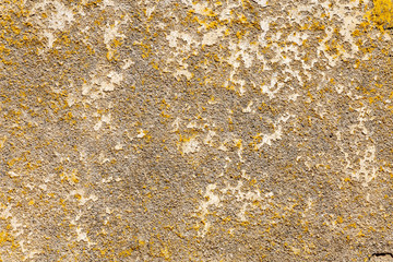 Stone wall texture background