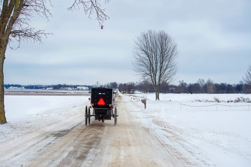 Amish Buggy on Rural Road in Winter