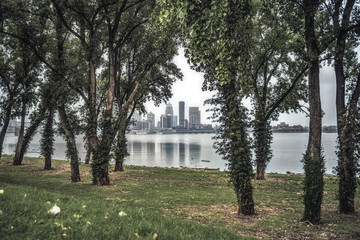 Louisville, Kentucky through trees