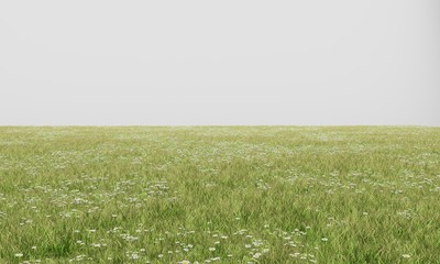 Obraz na płótnie Canvas Large empty meadow with camomiles 3D illustration