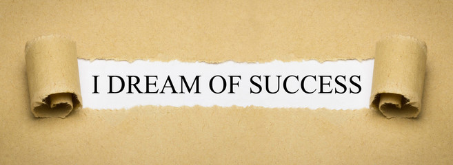 I Dream of Success