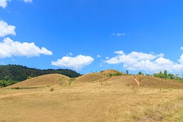 Fototapeta na wymiar Goldne grass or bald hill mountain, scenic park in Ranong, Thailand