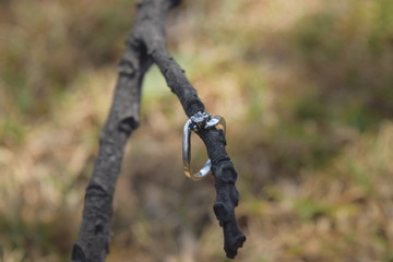Anillo de compromiso