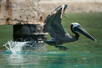 Takeoff