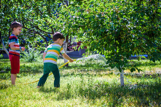 Little child, adorable blonde toddler boy, watering the plants, beautiful apple tree