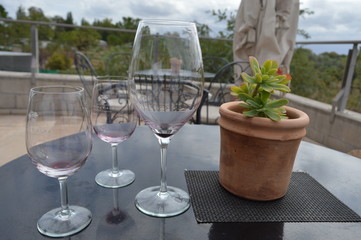 glass of white wine on table in garden
