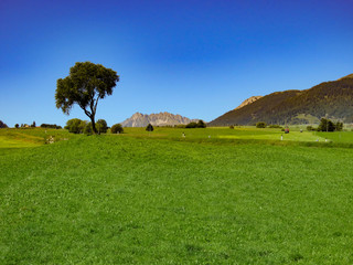 Südtirol