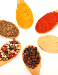 Group of indian spices and herbs difference ware in wooden spoons on white background for design foods, vegetable, spices, herbs, healthy lifestyle