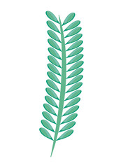 branch with leafs natural