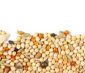 Mixed bird seed, millet pile isolated on white background, top view and macro