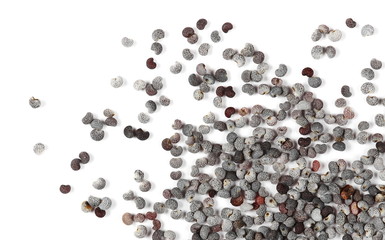 Blue poppy seeds macro isolated on white background and texture, top view