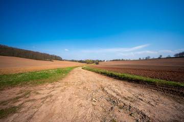 Fototapeta na wymiar spring plowed fields for agriculture