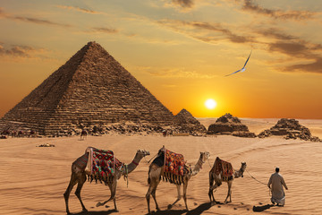 The Pyramid of Menkaure  and the three pyramid companions, the camels and the bedouins in the desert