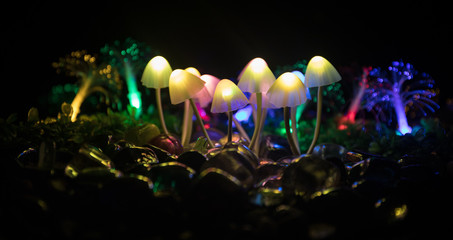 Obraz na płótnie Canvas Fantasy glowing mushrooms in mystery dark forest close-up. Beautiful macro shot of magic mushroom or souls lost in avatar forest. Fairy lights on background with fog.