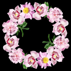 Beautiful flower circle of peonies and orchids. Isolated