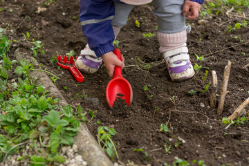 Fototapeta premium Small girl exploring the garden and helping with spring cleaning.