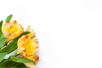 Bouquet of yellow flowers alstroemeria on white background. Flat lay. Horizontal. Mockup with copy space for greeting card, social media, flower delivery, Mother's day, Women's Day.
