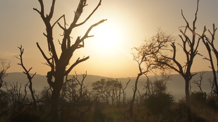 Sonnenaufgang Afrika